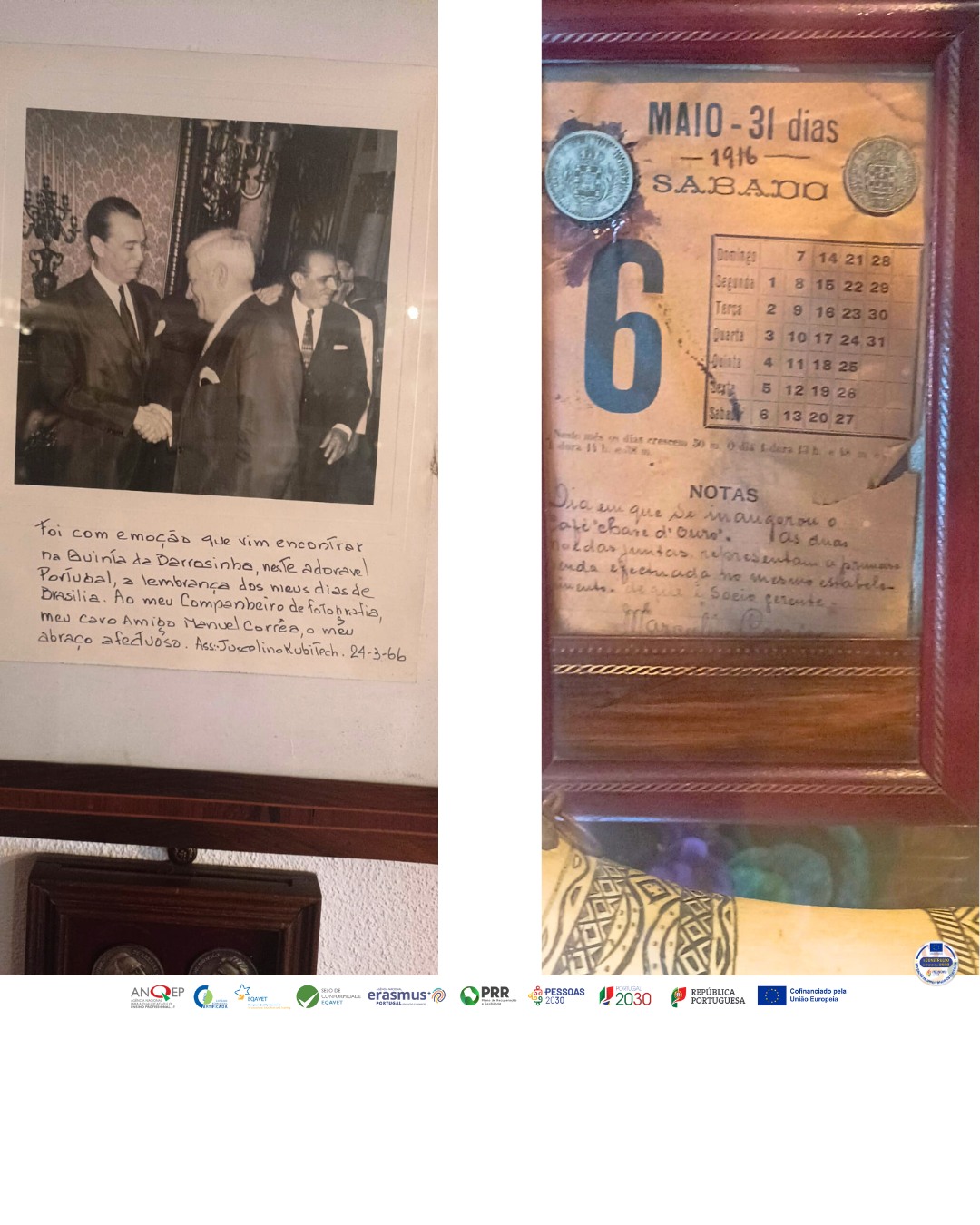 6 6